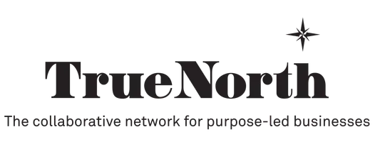 True North logo